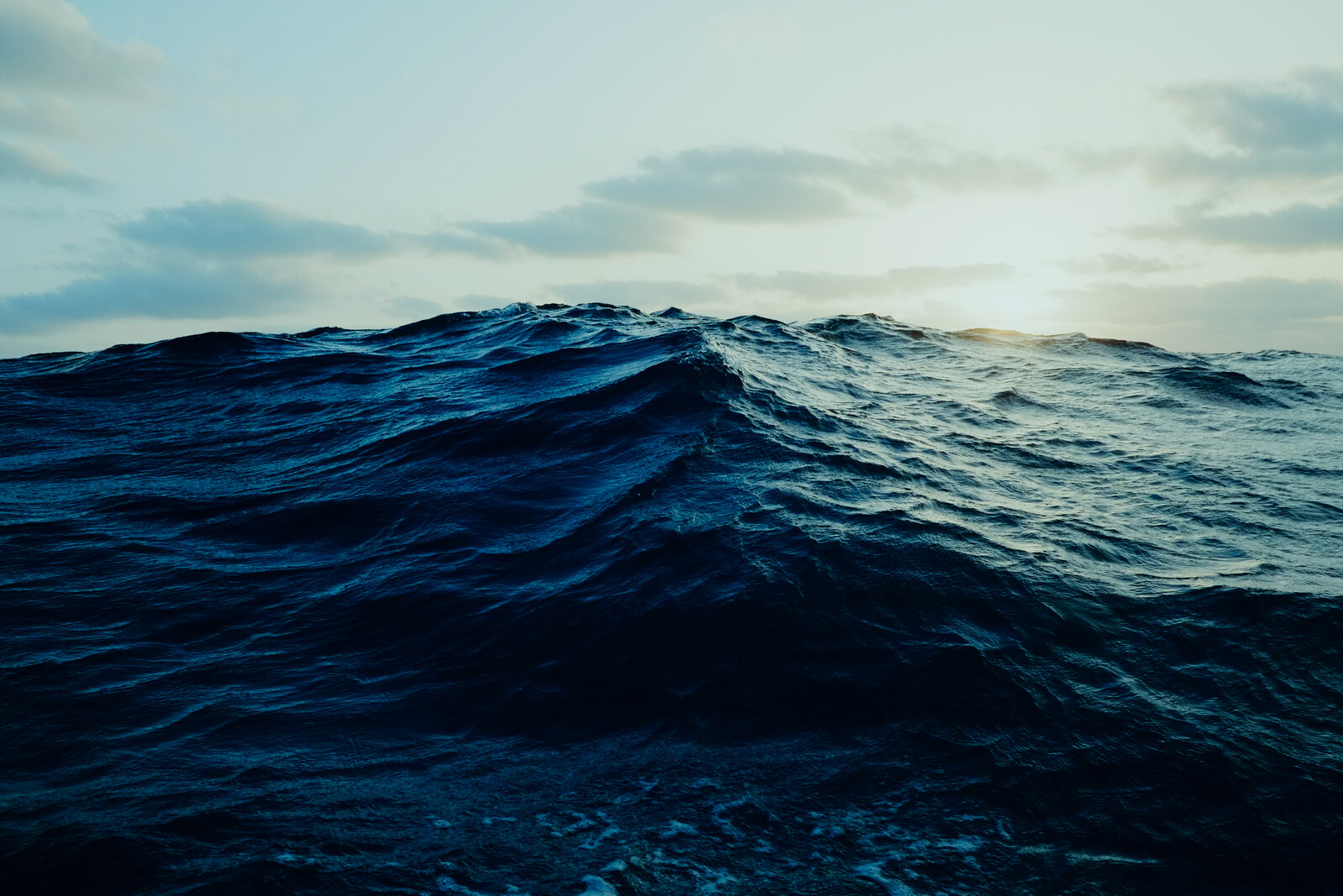 A large swell rising on the open ocean at dusk.
