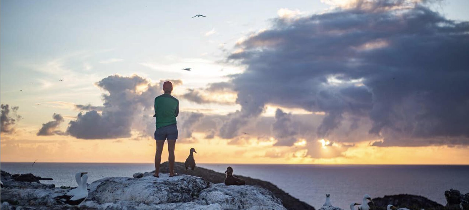 A person stands on a rocky islet at sunset, seabirds gathered around them and the open ocean beyond. Photo: NOAA/ONMS.
